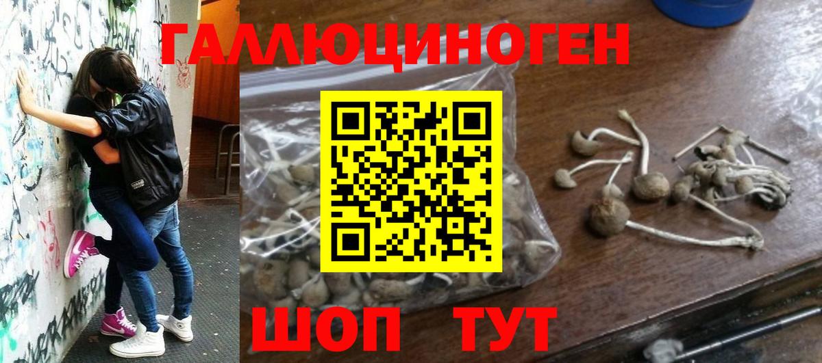 магазин продажи наркотиков  Вход с VPN  Нягань  Псилоцибиновые грибы MAGIC MUSHROOMS  Галлюциногенные грибы ЛСД 