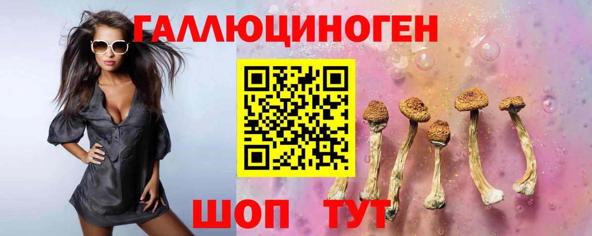 Псилоцибиновые грибы GOLDEN TEACHER Нягань